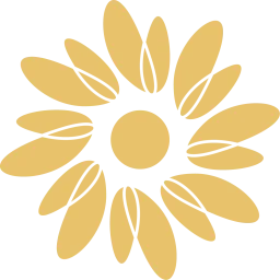 Daisy Bra logo