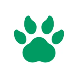 Cash Loans Bear logo